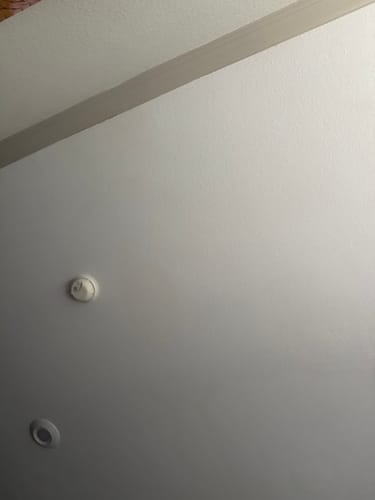 Customer photo review of Scentless Deodorant Supplement