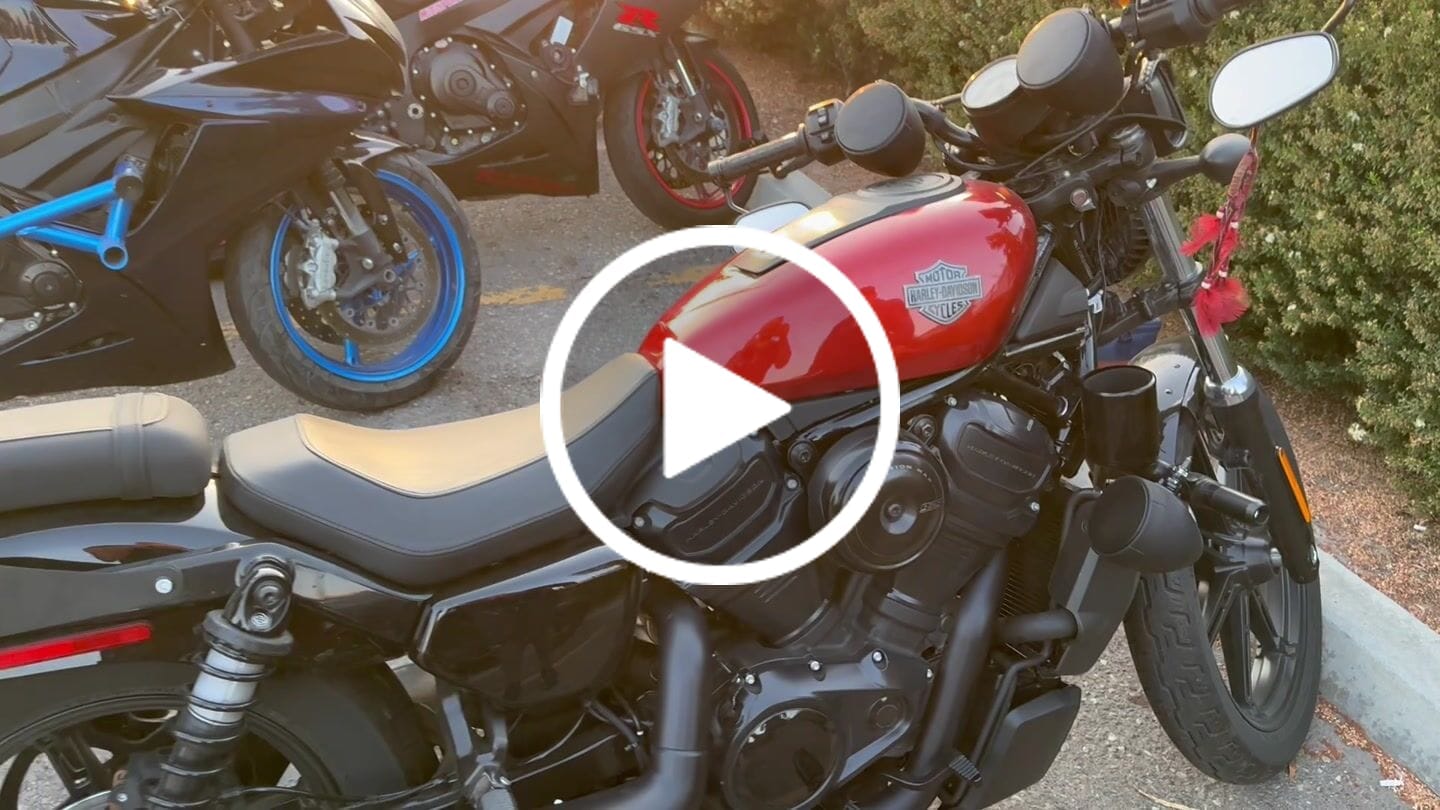Customer video review of Viking Iron Born Plain Leather Short Motorcycle Backrest Pad for Harley Davidson Foldable Sissy Bar