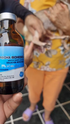 Customer photo review of Dipirona