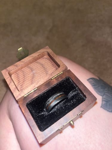 Customer photo review of The Meteorsaur