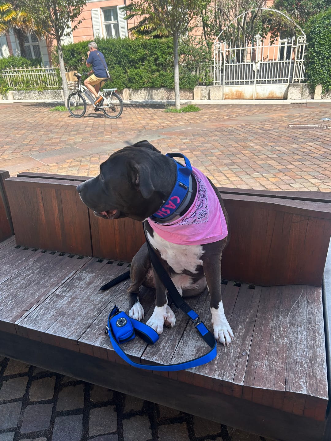 Customer photo review of Poop Bag Holder