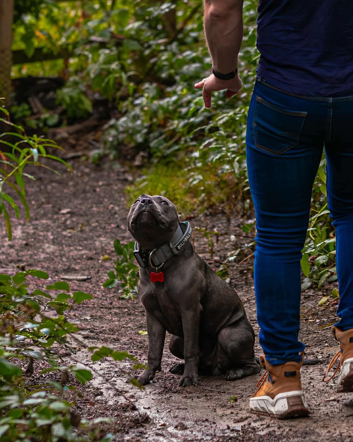 Customer photo review of 5cm Combat® Collar | With Handle & Secure Clip - Metal Grey