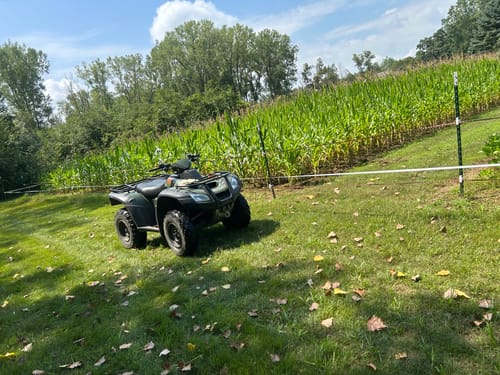 Customer photo review of Glyphosate Tolerant Wildlife Seed Corn