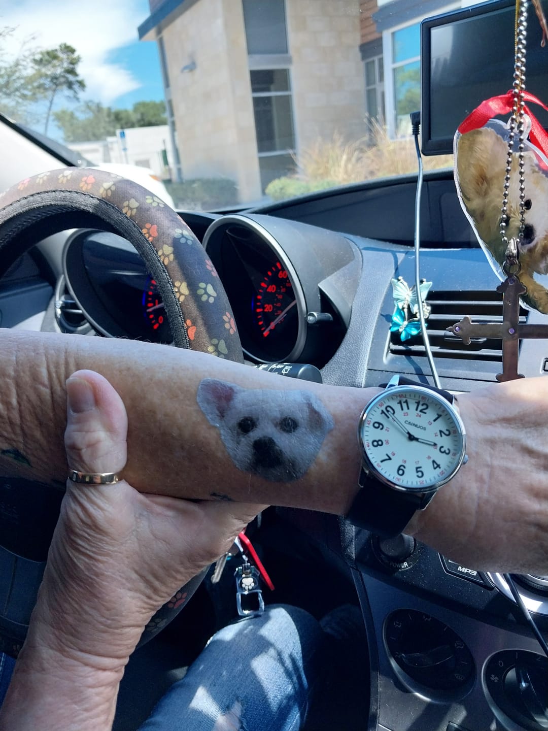 Customer photo review of Custom Photo Dog Face Cut-Out