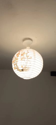 Customer photo review of Chinese Lanterns - Plum Blossom