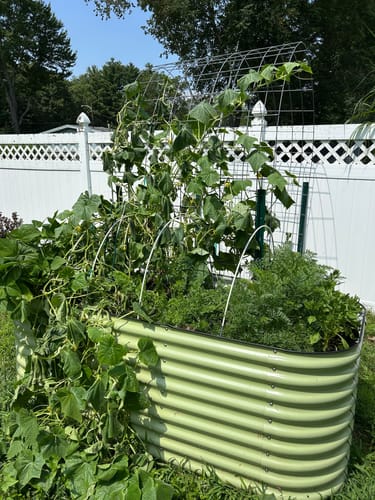 Customer photo review of Design Your Own Garden