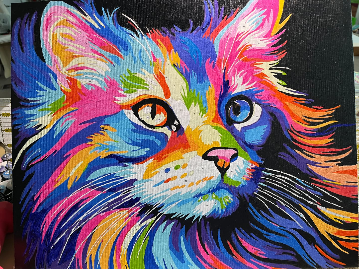 Customer photo review of Colorful Cat