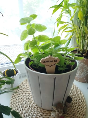 Customer photo review of Keramický zápich do květináče  Seru na to