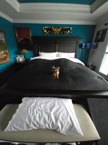 Customer photo review of FLORÉ Over-Sized Eucalyptus Comforter Set