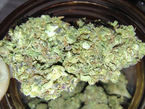 Customer photo review of White Widow - 28 Grams - Hybrid