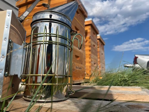 Customer photo review of BeeCastle 10-Frame Unassembled Medium Super Beehive Box with Pine Wooden Frames and Beeswax-Dipped Yellow Plastic Foundation