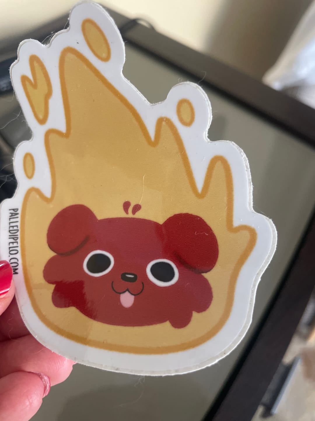 Customer photo review of Sticker Cane