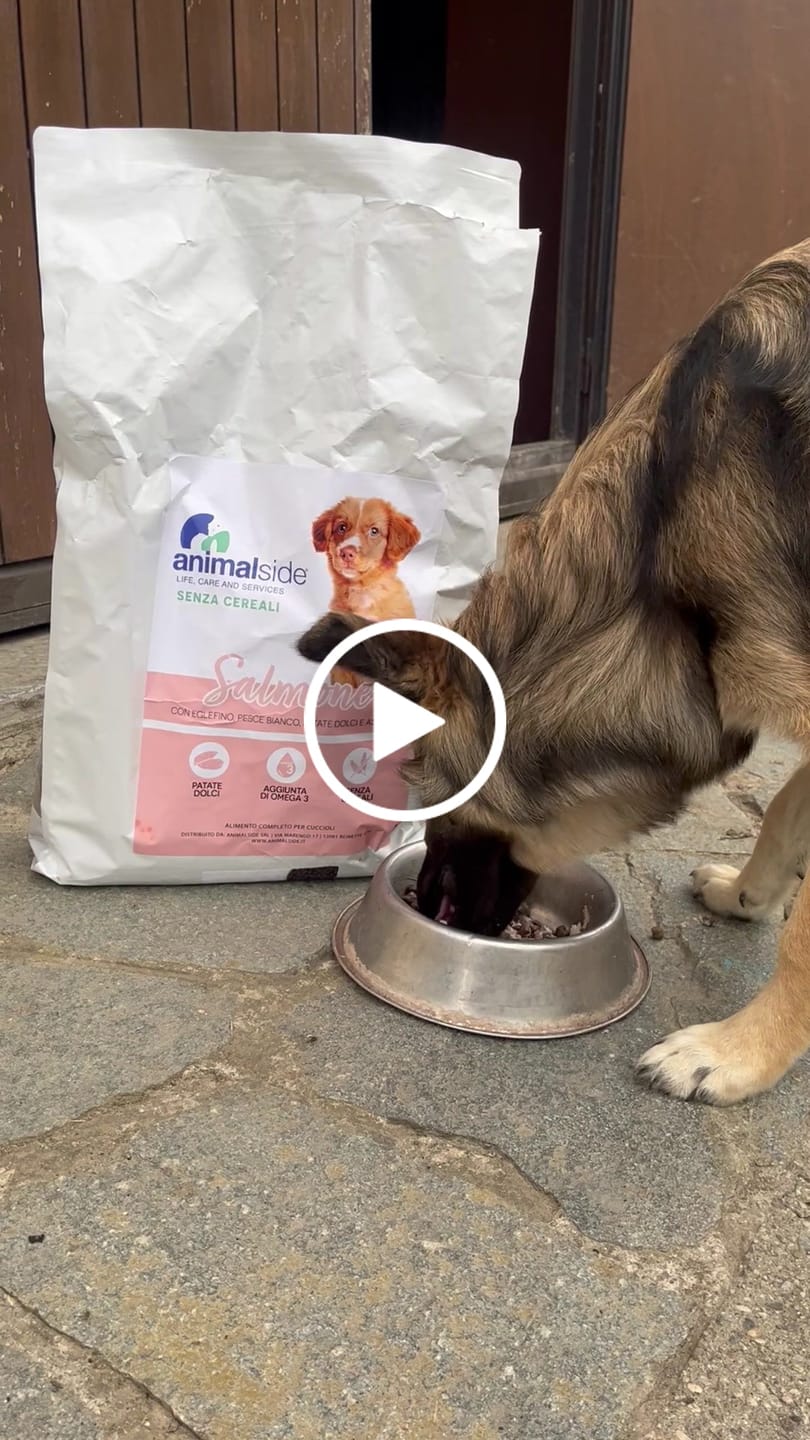Customer video review of Crocchette per cani Cuccioli (Puppy) - Salmone con Eglefino, pesce Bianco Patate Dolci e Asparagi - Grain Free (senza cereali)