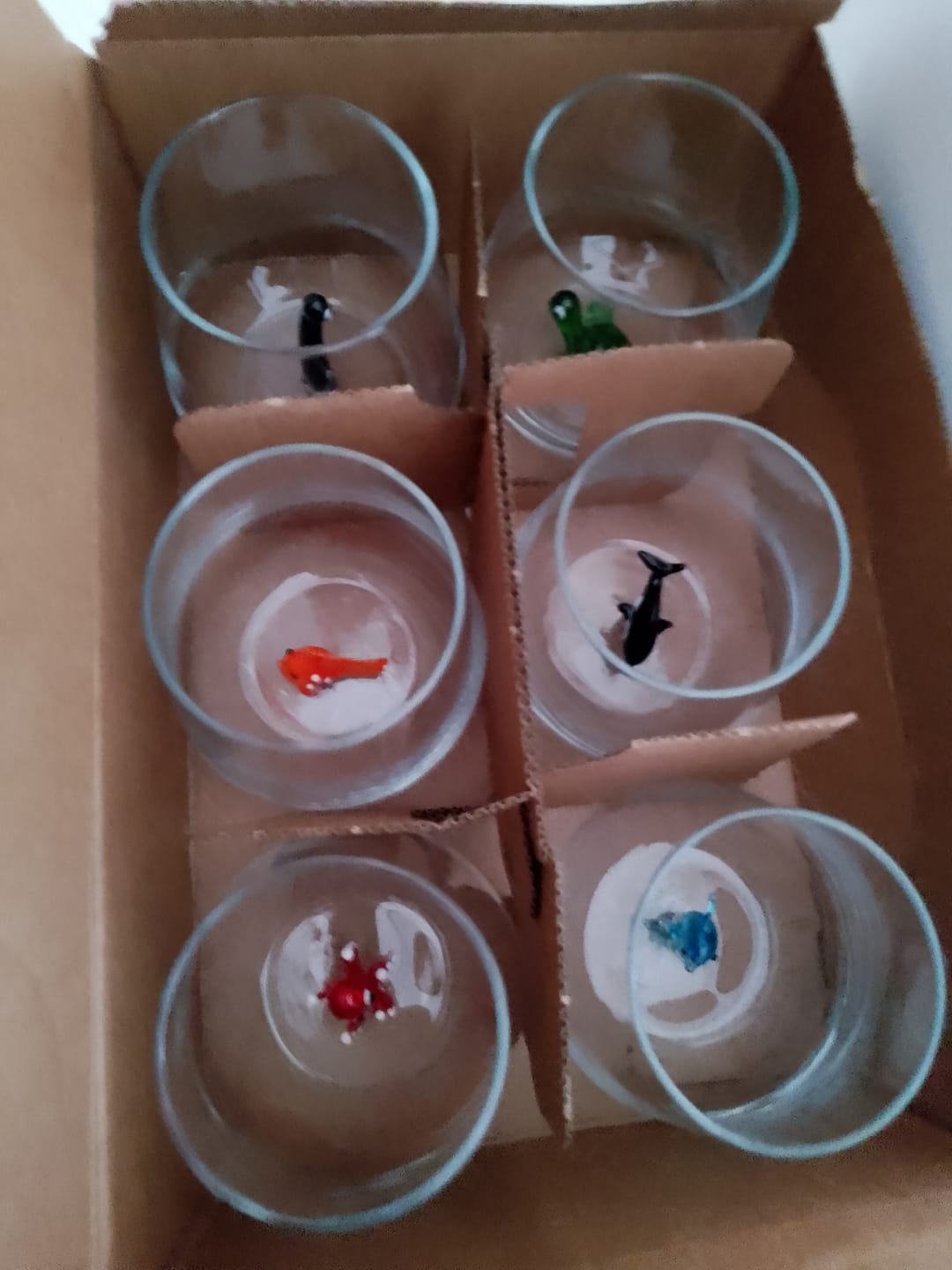 Customer photo review of Ocean Set of 6