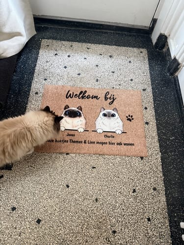 Customer photo review of Welkom bij nieuwsgierige katten - Gepersonaliseerde deurmat