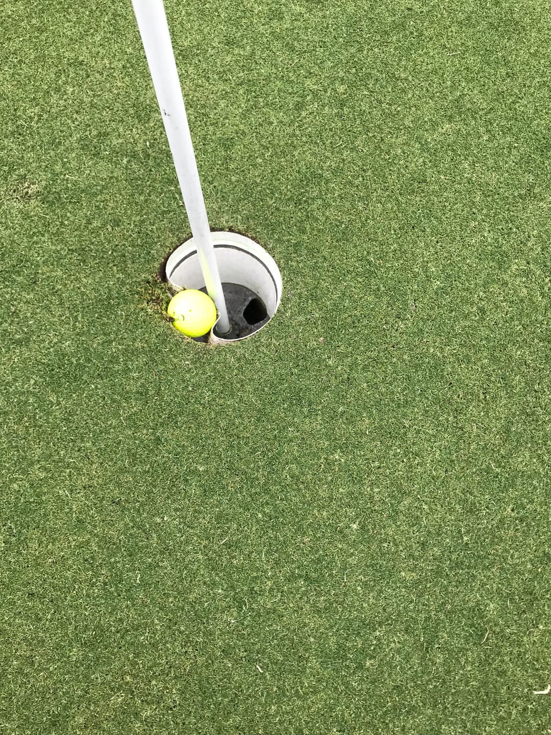 Customer photo review of Exotics Wingman Wedge