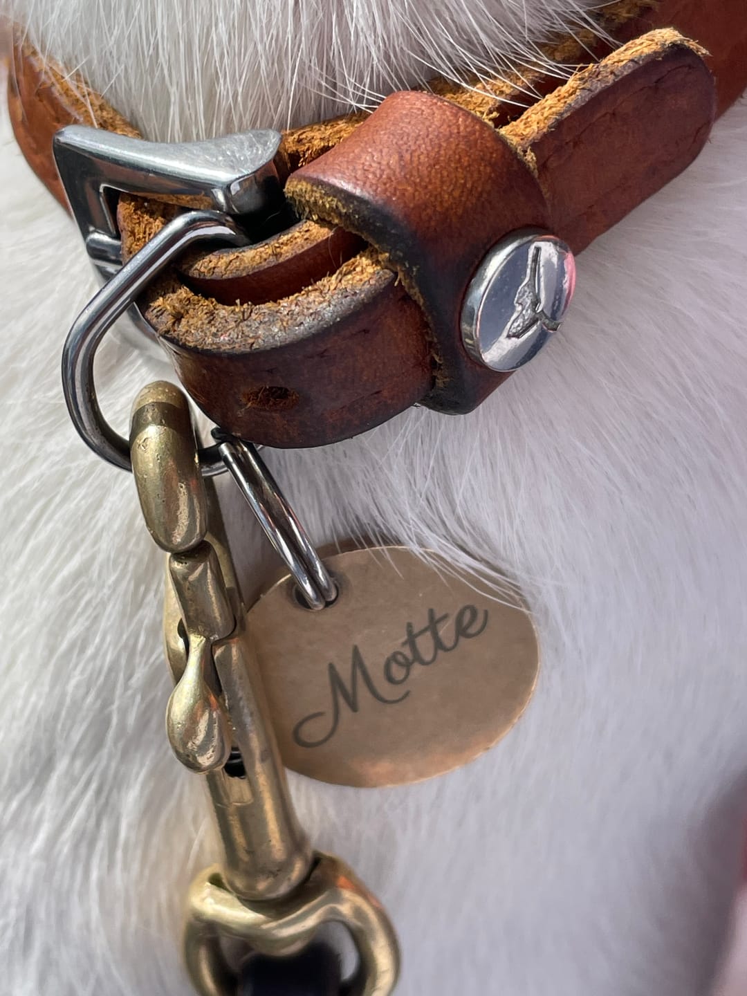 Customer photo review of Runde Hundemarke mit Gravur, Name und Telefon personalisiert