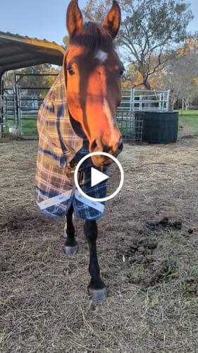 Customer video review of Rhino Plus Turnout 0g