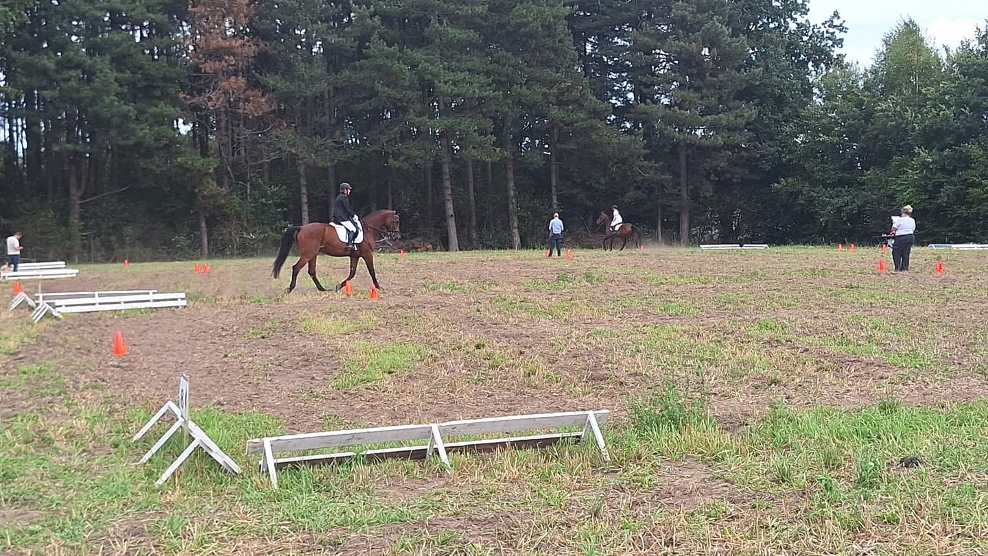 Customer photo review of GINNY - BREECHES | WHITE ROSE GOLD