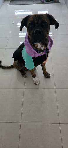 Customer photo review of Cyber Punk Human Hoodie