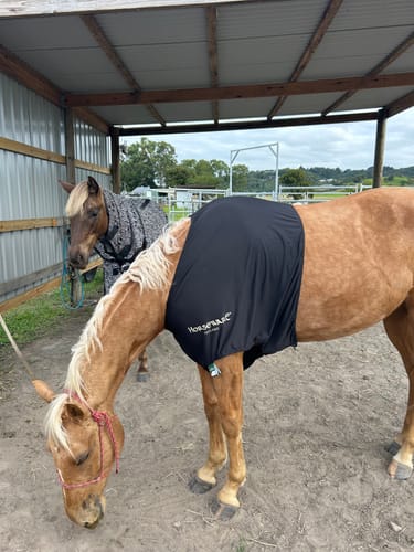 Customer photo review of Rambo Slinky Shoulder