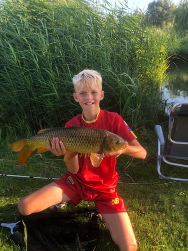 Customer photo review of METHOD FEEDER X-SAFE SYSTEM - 4 Opties