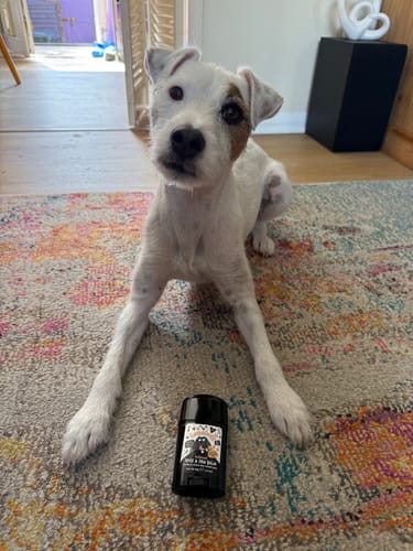 Customer photo review of Oatmeal Nose & Paw Balm Stick for Dogs