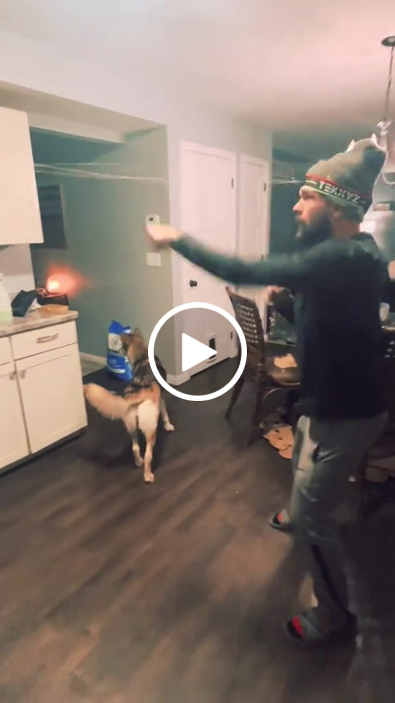 Customer video review of TEKXYZ Boxing Reflex Ball - 3 Difficulty Levels