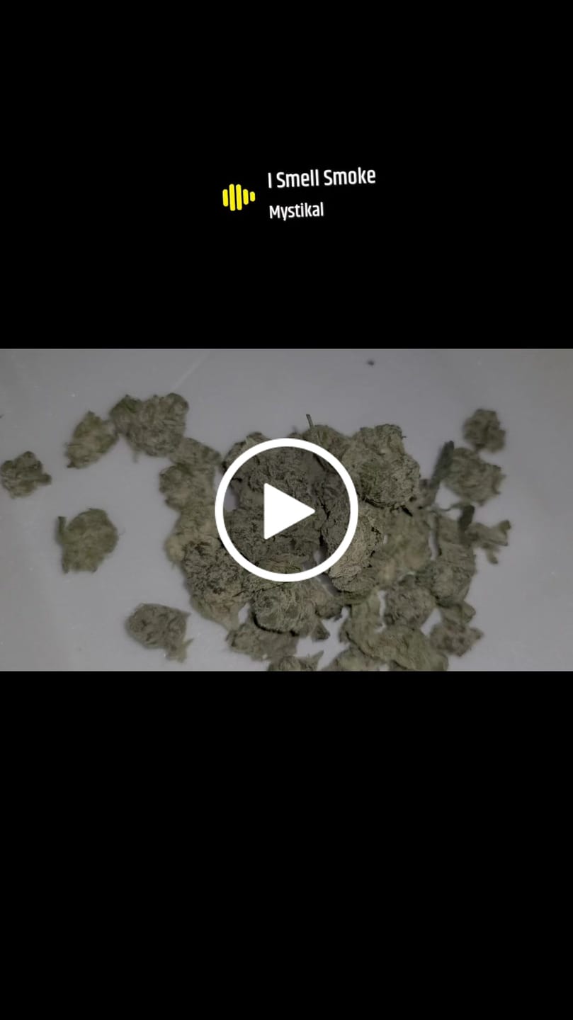 Customer video review of Exotic Smalls