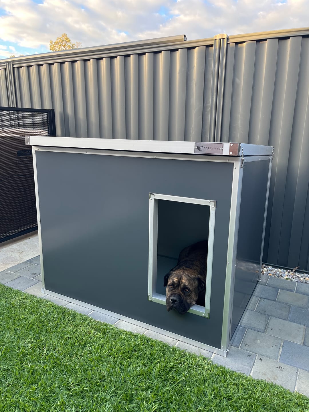 Customer photo review of CozyCube Coldroom Panel Insulated Dog House