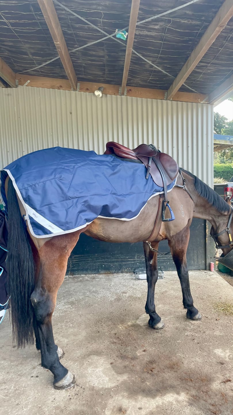 Customer photo review of Amigo Ripstop Exercise Sheet