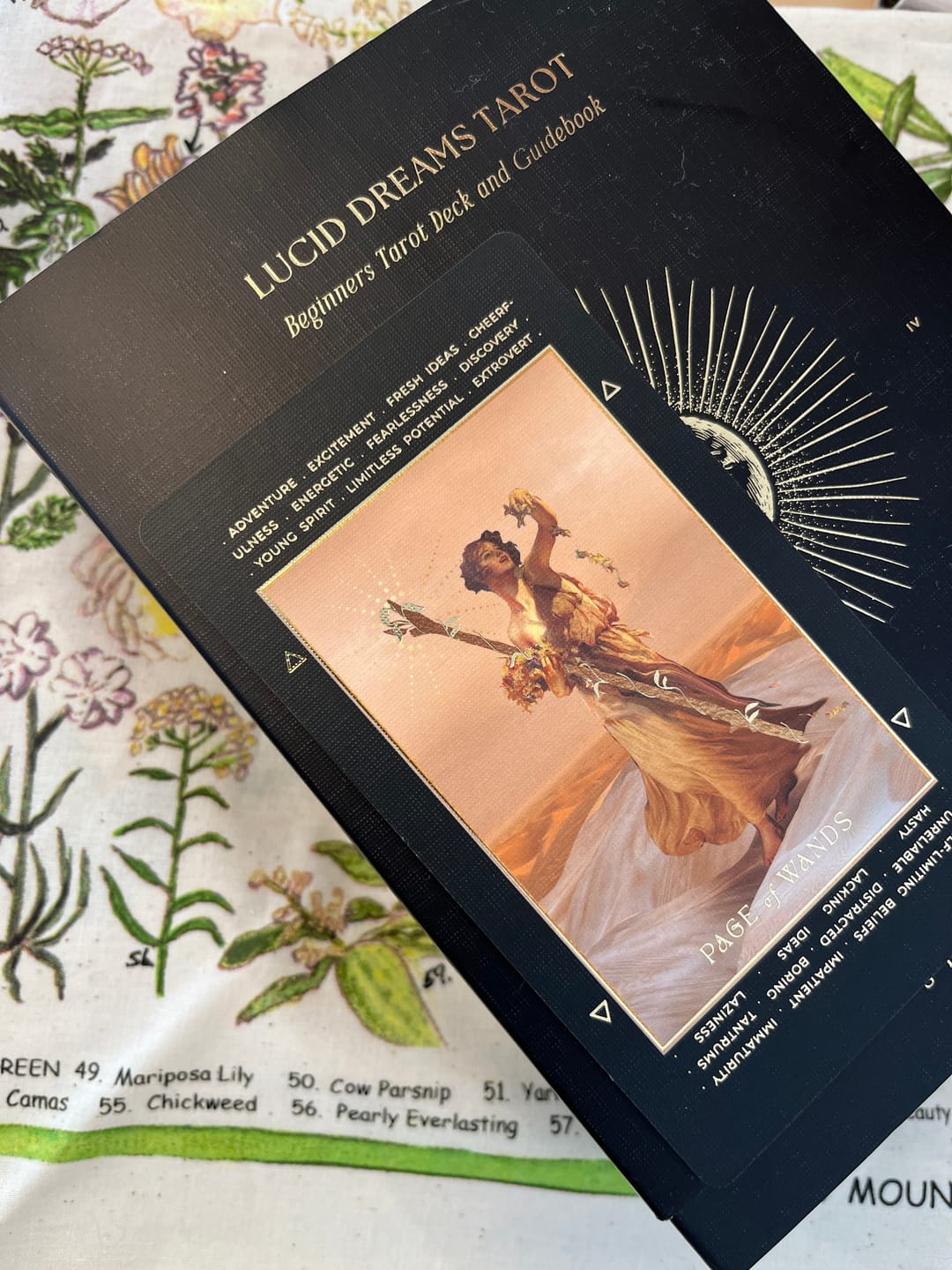 Customer photo review of Lucid Dreams Beginners Tarot • Black Eclipse {EDITION 4}