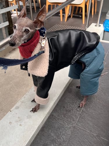 Customer photo review of Polyurethane Jacket