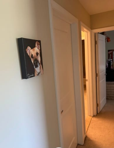 Customer photo review of Pet Art Canvas Wrap