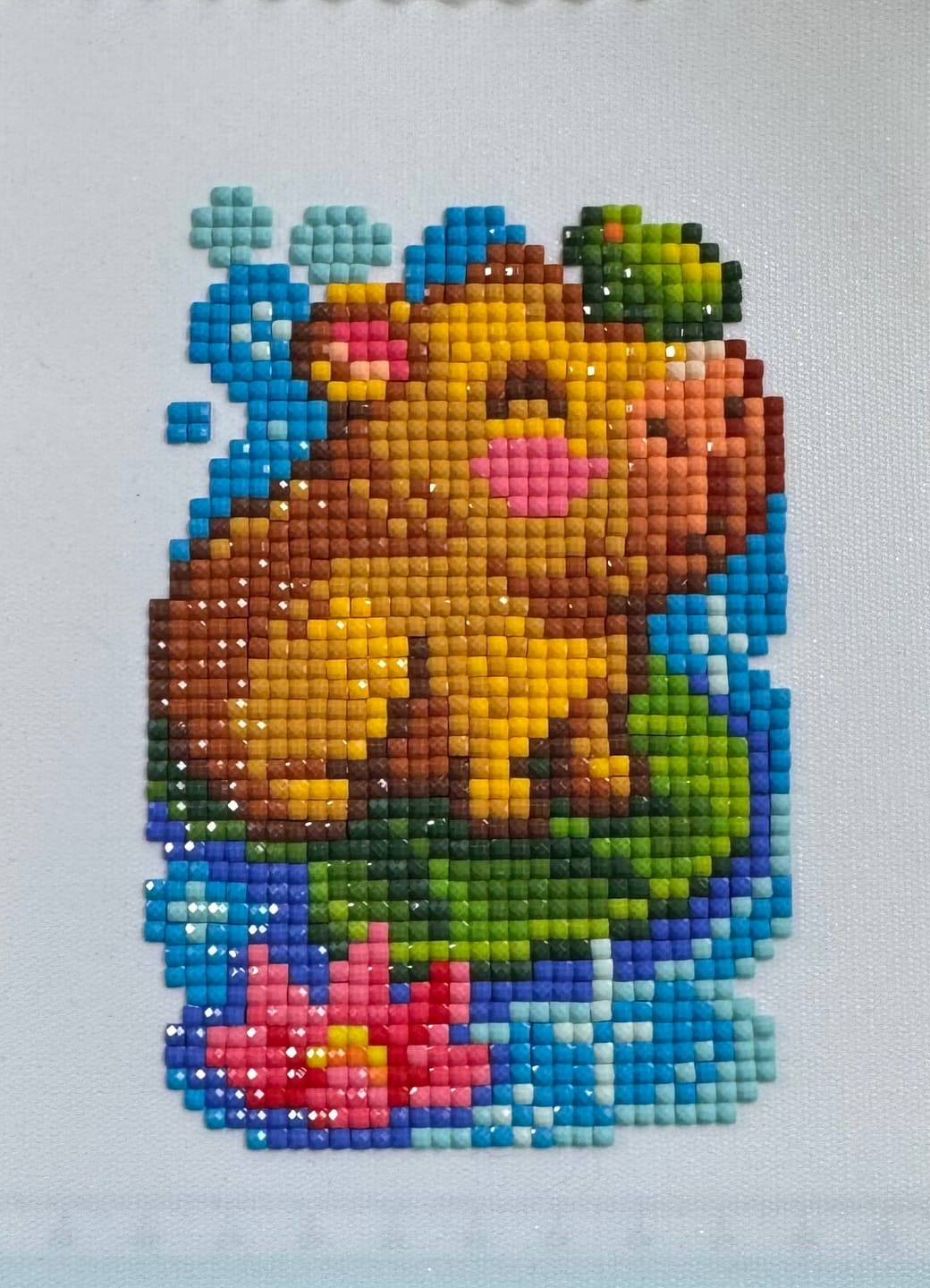 Customer photo review of Capybara Set