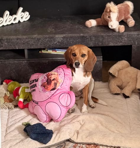 Customer photo review of Mein Platz - Individuelles Formkissen