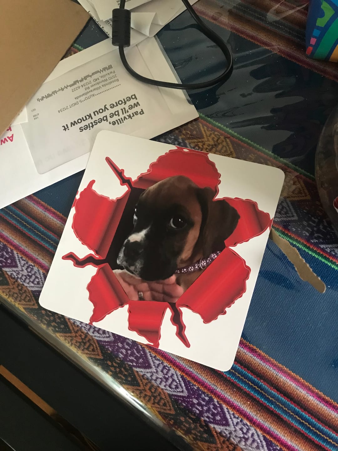 Customer photo review of Peeking photo – Personalized Car Sticker