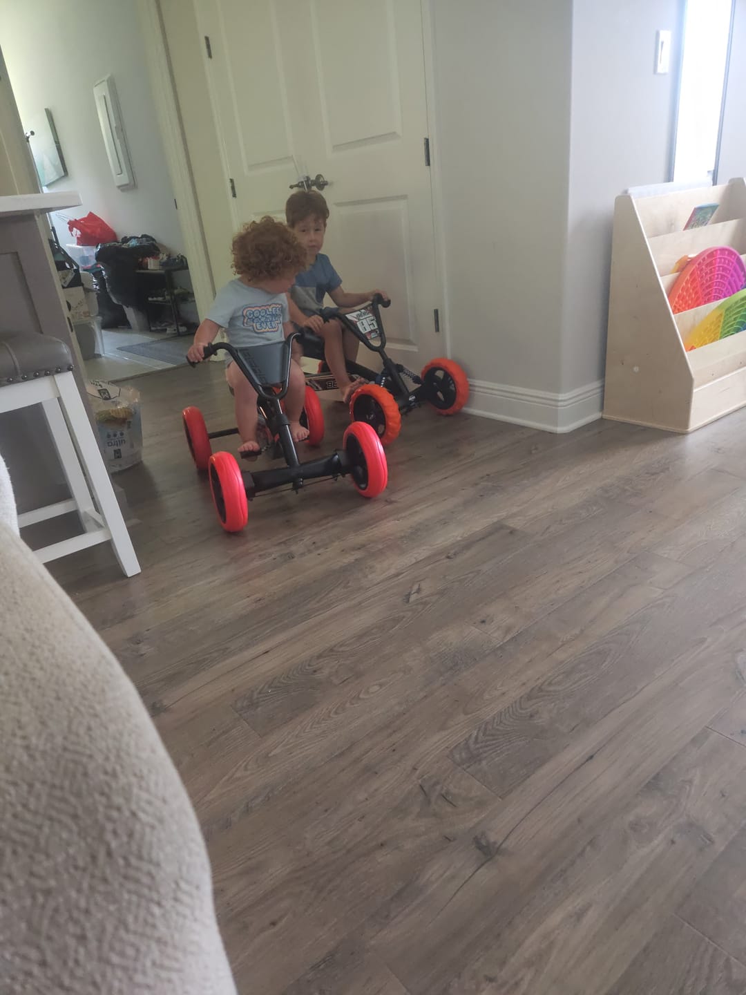 Customer photo review of BERG Buzzy