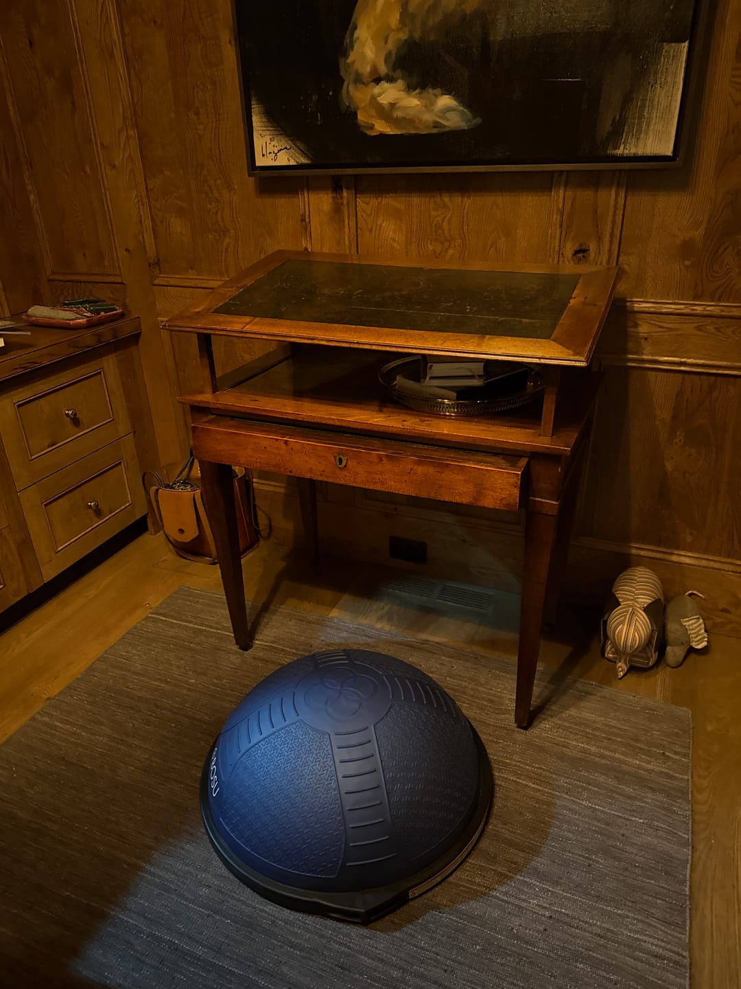 Customer photo review of NEXGEN™ HOME Balance Trainer