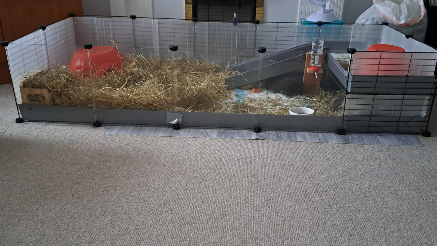 Customer photo review of 5x2 C&C Cage with Loft