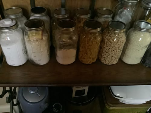 Kaye T. review of Mason Genie® Vacuum Sealer Kit image 1 out of 1