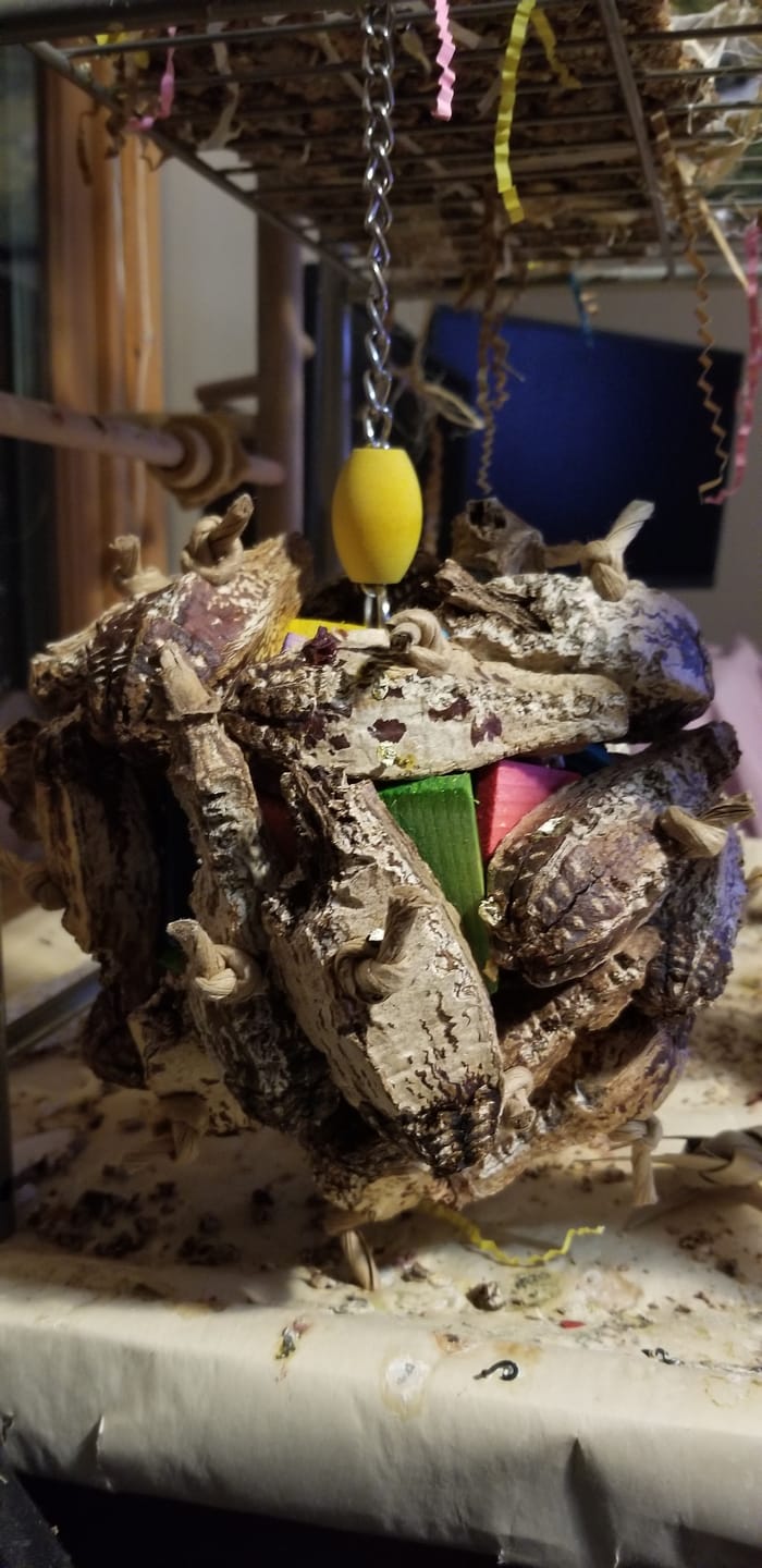 Customer photo review of Pod Party by Cheep Thrills Bird Toys