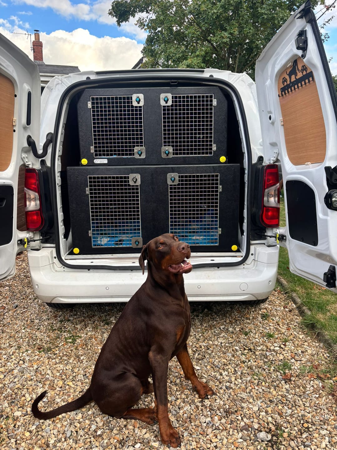 Customer photo review of Dog Van Kit | Vauxhall Combo | 2019-Present | Double stack | DT VS1