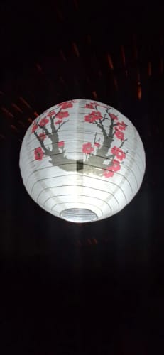 Customer photo review of Chinese Lanterns - Plum Blossom