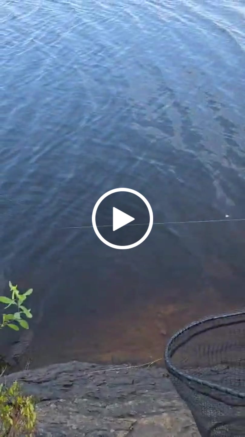 Customer video review of STINGEYE™ Spinner