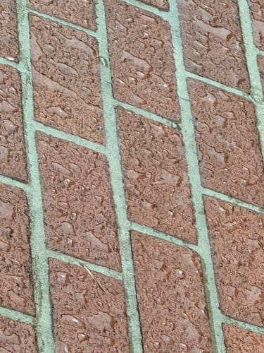 Customer photo review of C2 Guard for Masonry