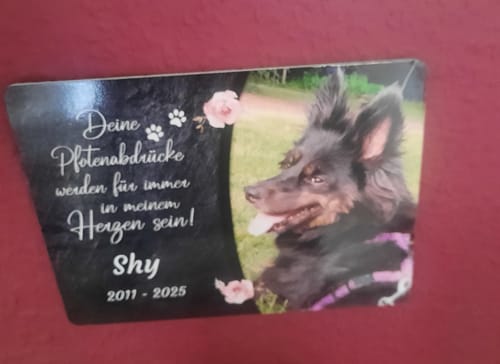 Customer photo review of Hunde Gedenktafel mit Foto & Spruch (UV- & Wetterfest)