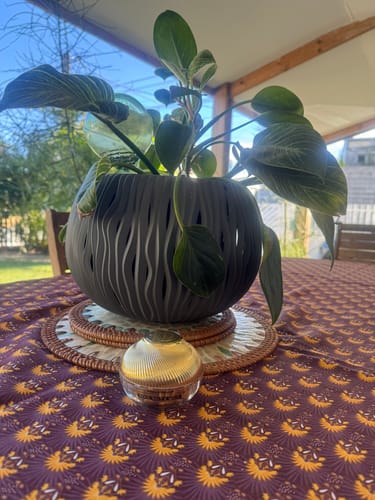 Customer photo review of CREME ROYALE • 24K GOLD