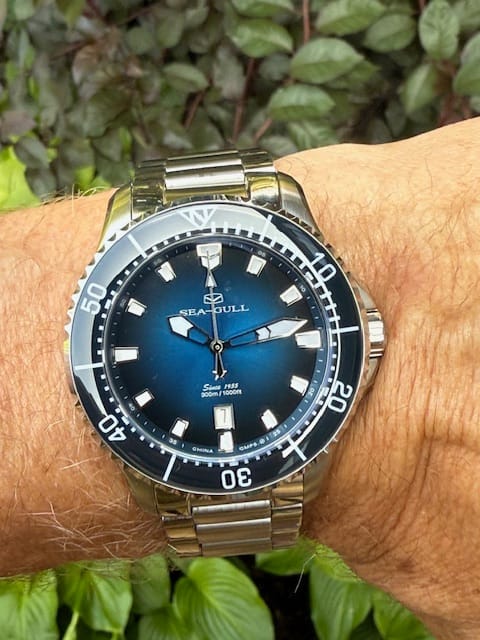 Customer photo review of Dive | Ocean Series | 300M Waterproof | Luminous | Calendar | 44mm