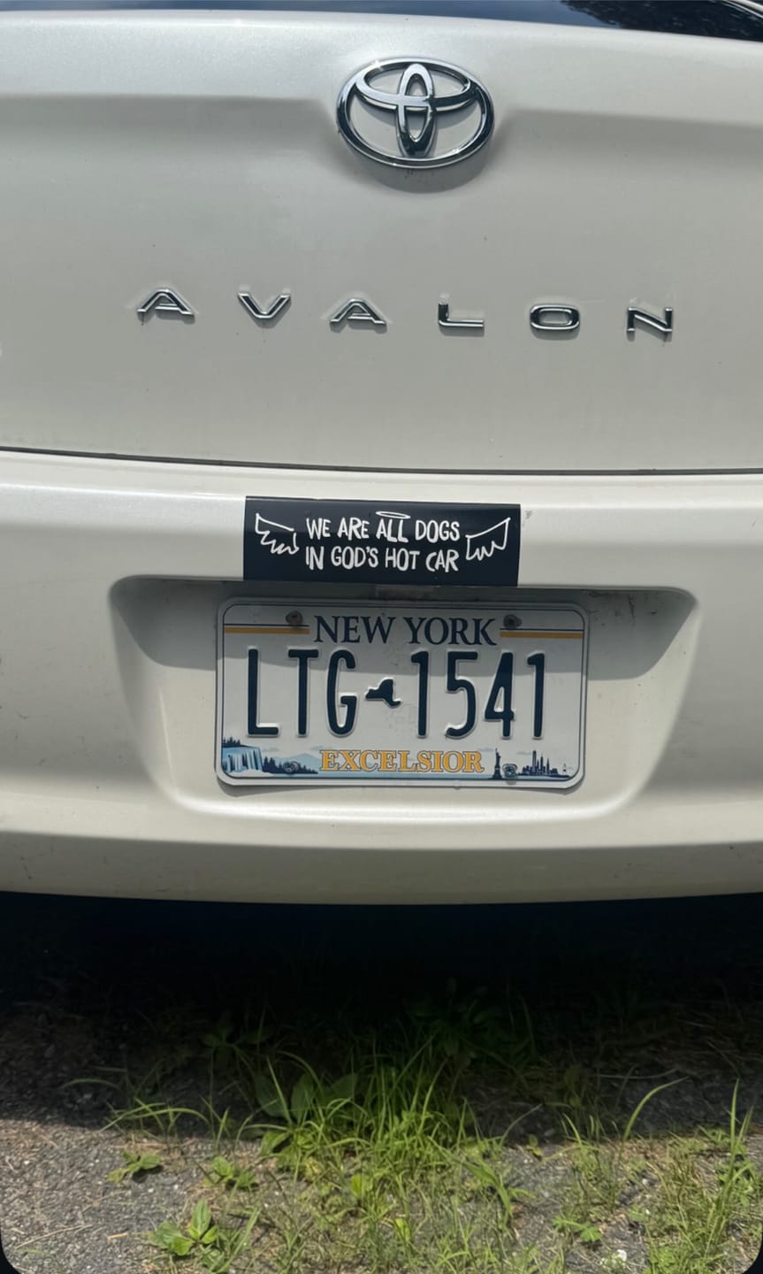 Customer photo review of GOD'S HOT CAR BUMPER STICKER